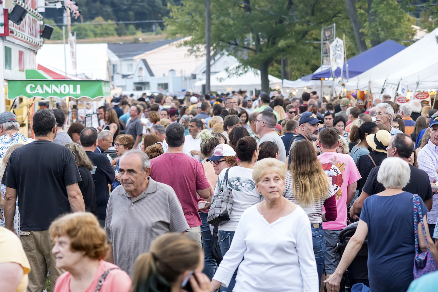 Niagara County Peach Festival
