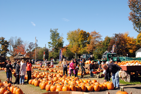 Photo courtesy of The Great Pumpkin Farm