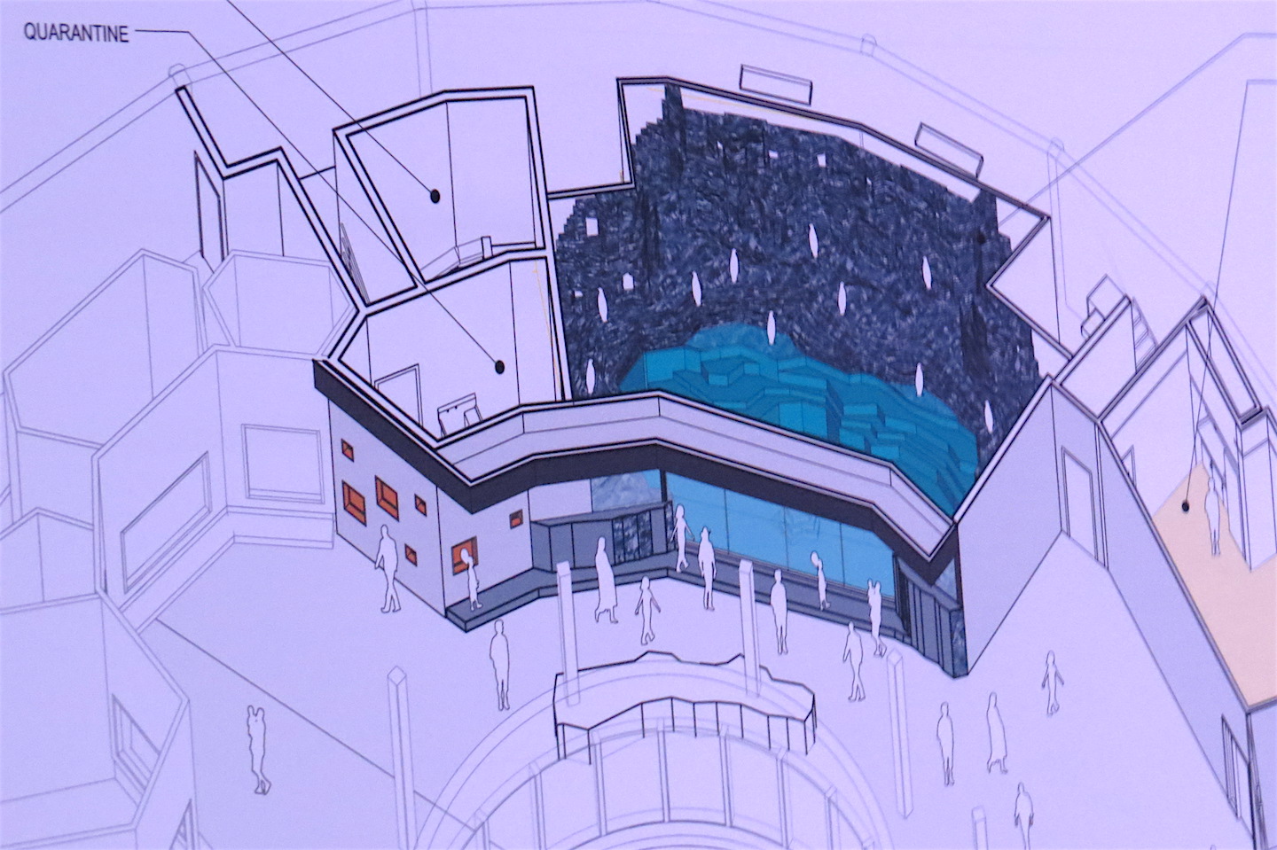 Artistic renderings of the Humboldt penguin exhibit as created by Grand Island's Cannon Design.