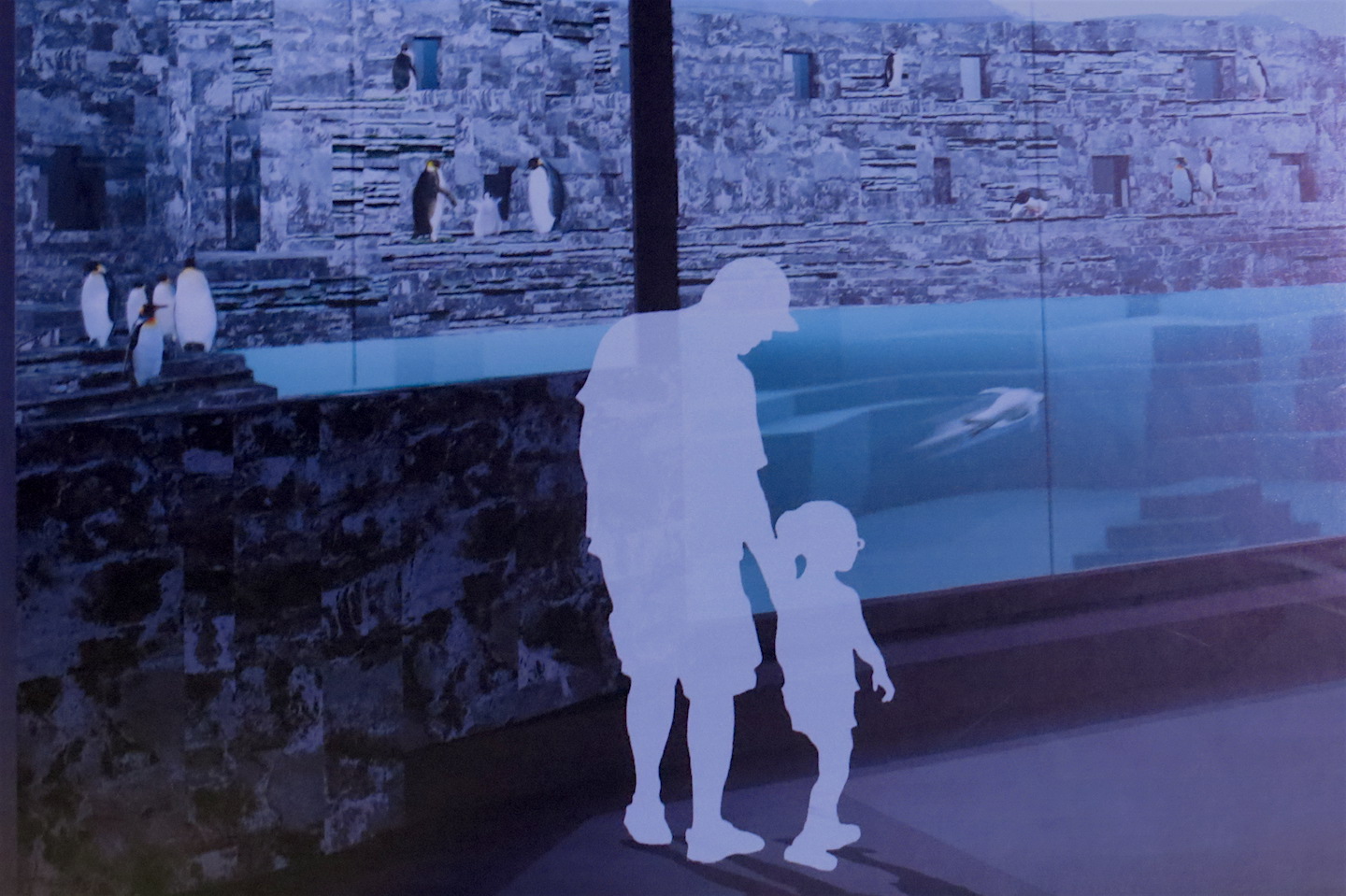 Artistic renderings of the Humboldt penguin exhibit as created by Grand Island's Cannon Design.