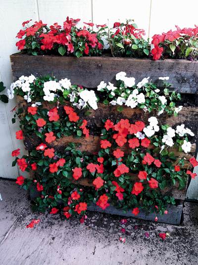 Pallet garden