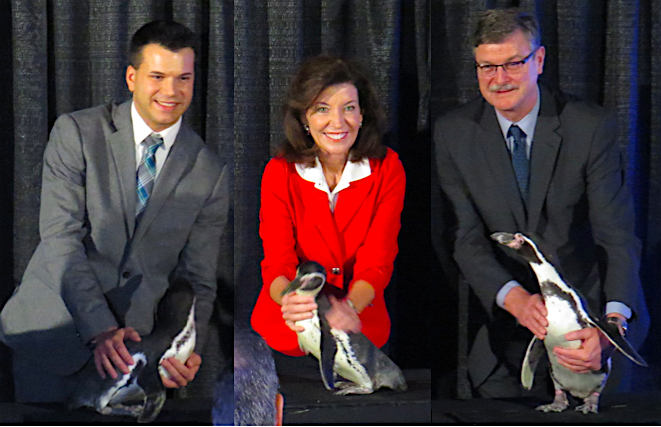 Gov. Andrew M. Cuomo on Friday announced the groundbreaking of a $3.3 million penguin exhibit at the Aquarium of Niagara. This exhibit will allow the aquarium to add new programming and interactive features to the already popular attraction, while providing a state-of-the-art habitat for the colony of Humboldt penguins.