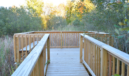 The Kimberly Woodruff Memorial Nature Trail features a handicapped-accessible observation deck, where visitors can view wetlands and wildlife.