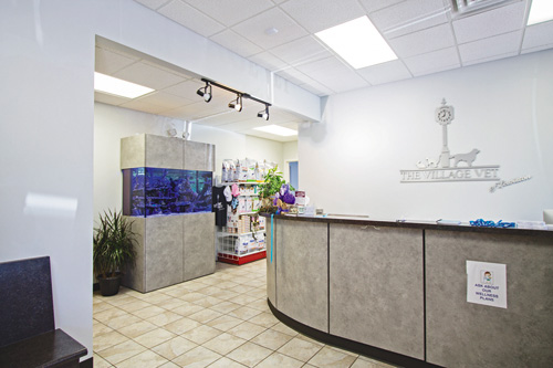 The Village Vet of Lewiston