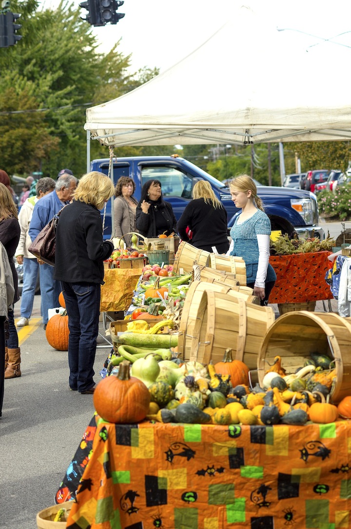 Harvest Festival 2012